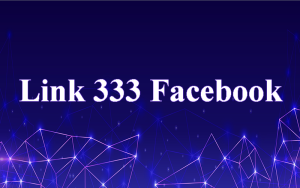 Link 333 Facebook